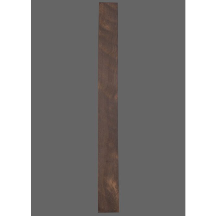 Ebony Fretboard