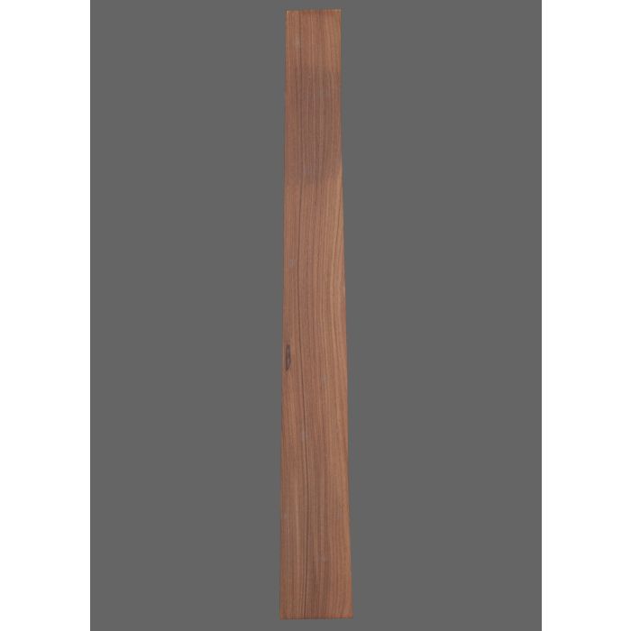 Pau Ferro Fretboard