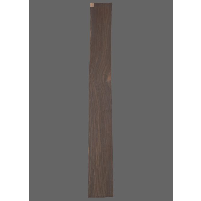 Ebony Fretboard