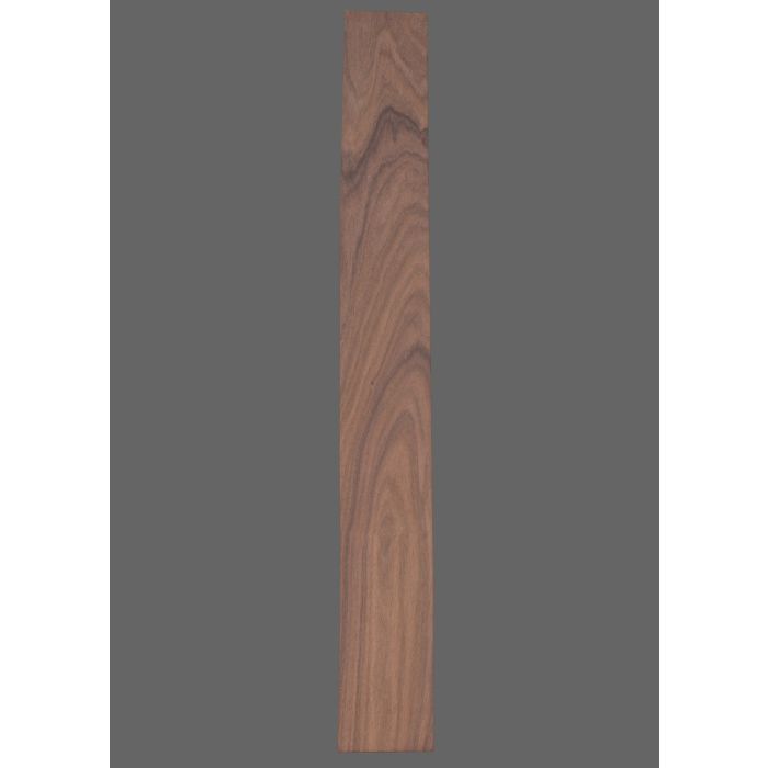 Pau Ferro Fretboard
