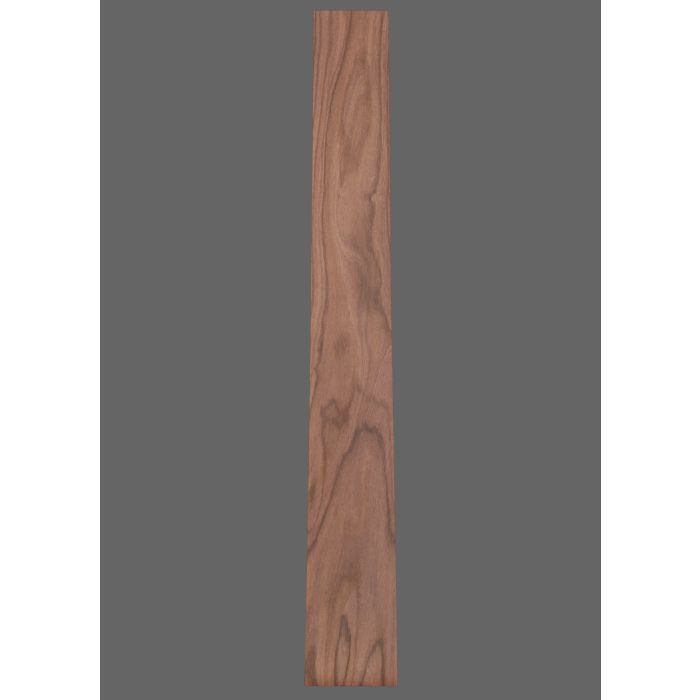 Pau Ferro Fretboard
