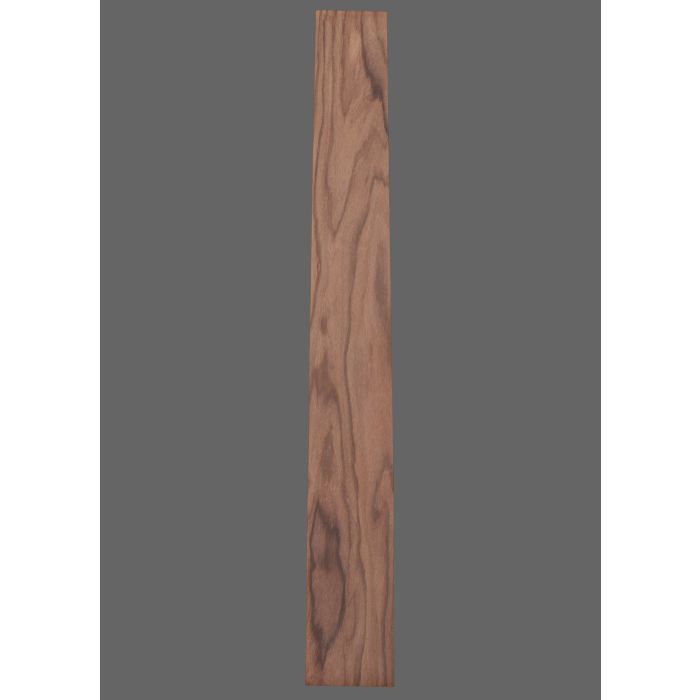 Pau Ferro Fretboard