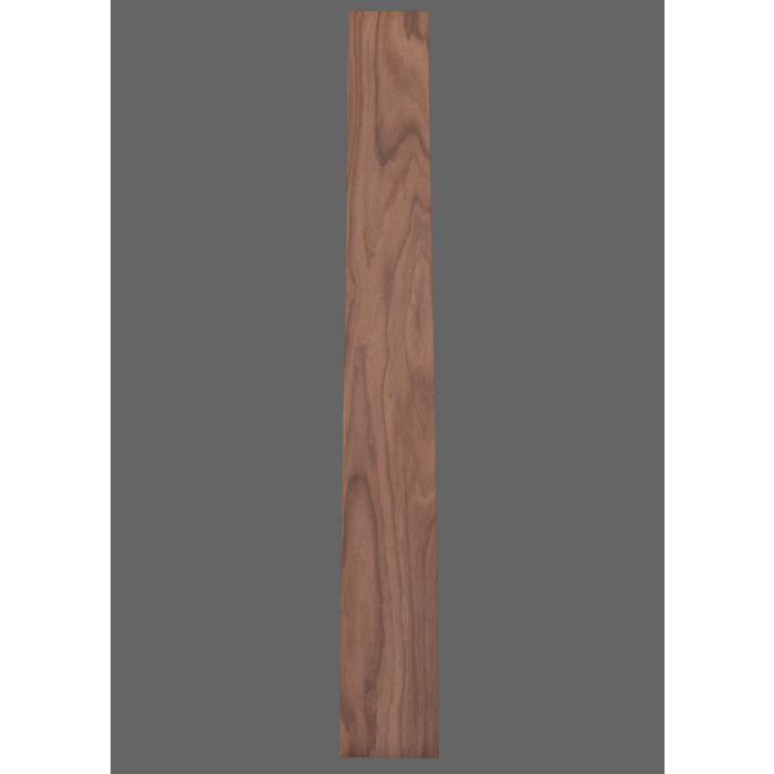 Pau Ferro Fretboard