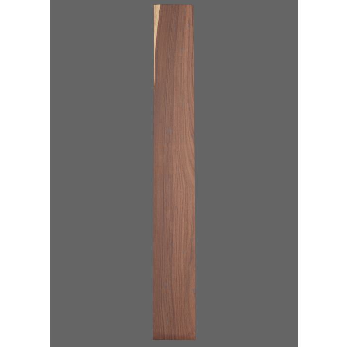 Pau Ferro Fretboard