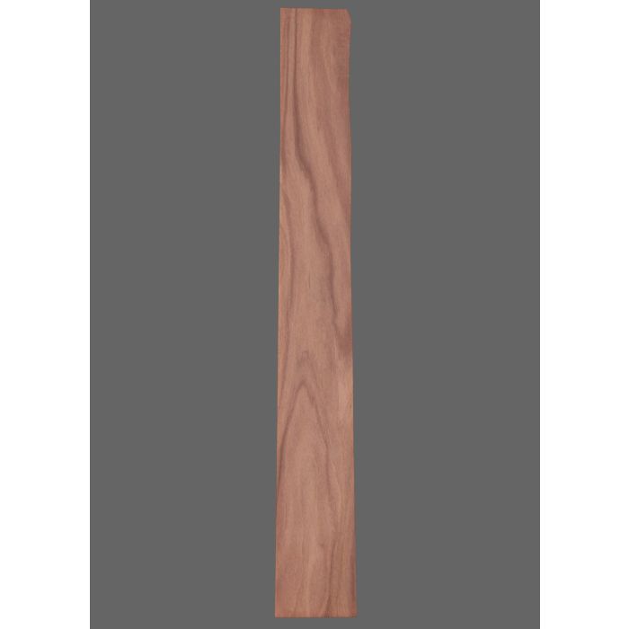 Pau Ferro Fretboard