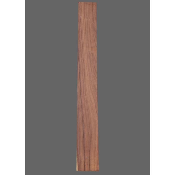 Pau Ferro Fretboard
