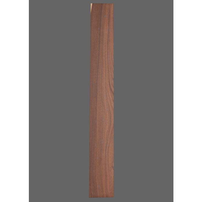 Pau Ferro Fretboard