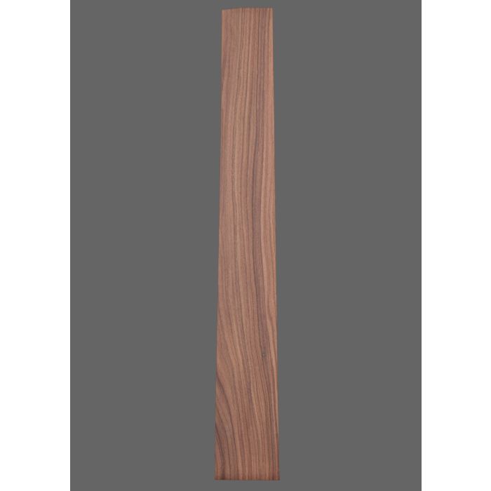 Pau Ferro Fretboard