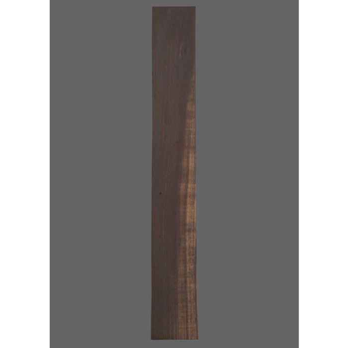 Ebony Fretboard
