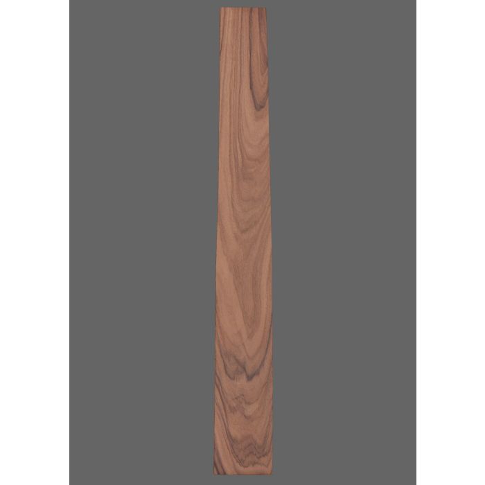 Pau Ferro Fretboard