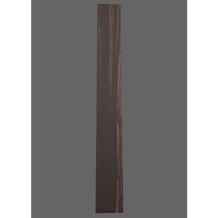 Ebony Fretboard