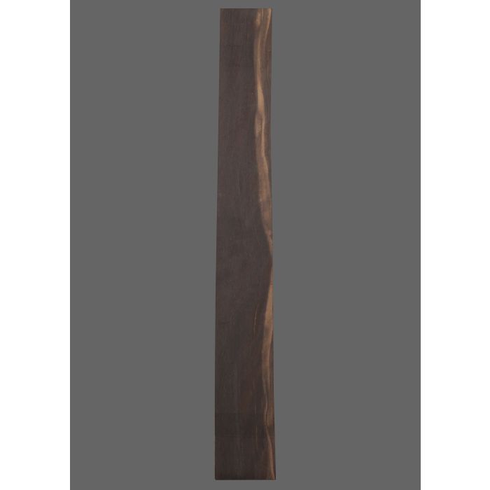 Ebony Fretboard