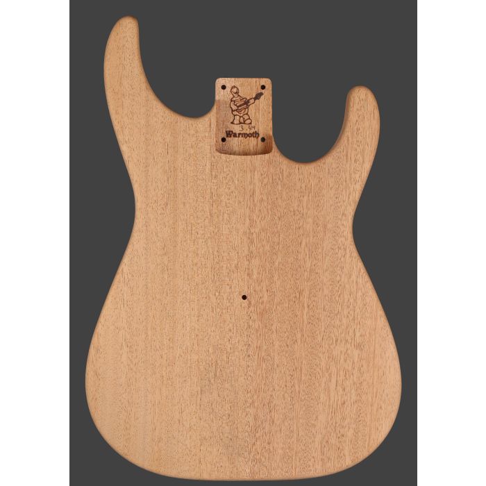 Soloist Guitar Body