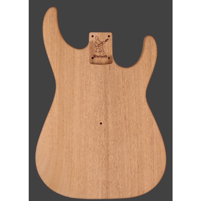 Soloist Guitar Body