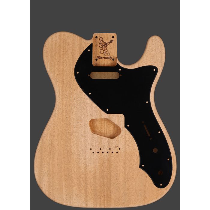 Thinline Guitar Body