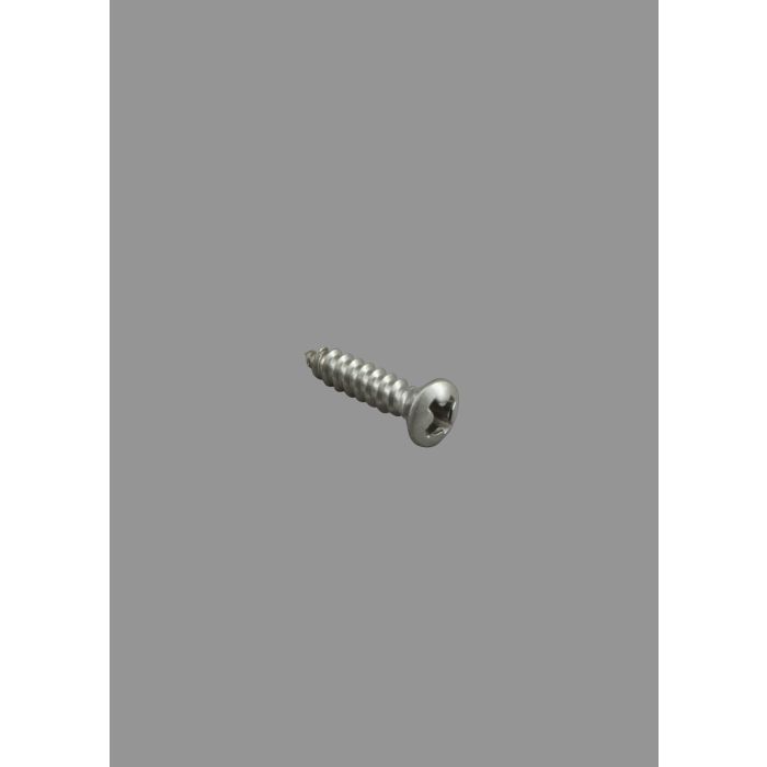 Pickguard Screws