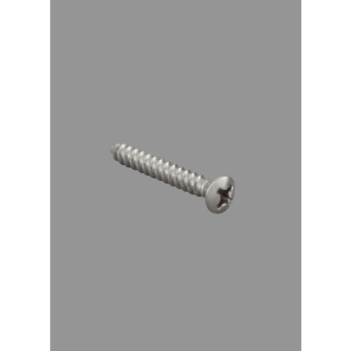 Bridge Mounting Screws