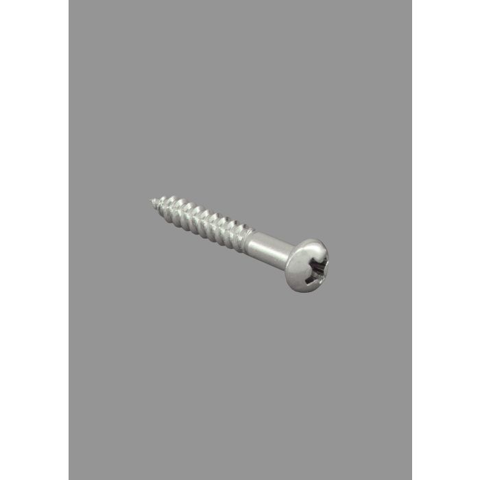 Tremolo Bridge Screws