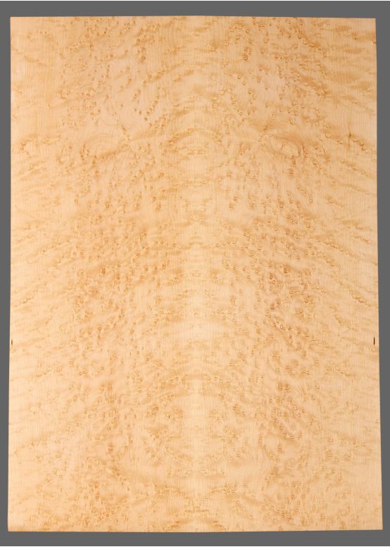 Birdseye Maple Laminate Top