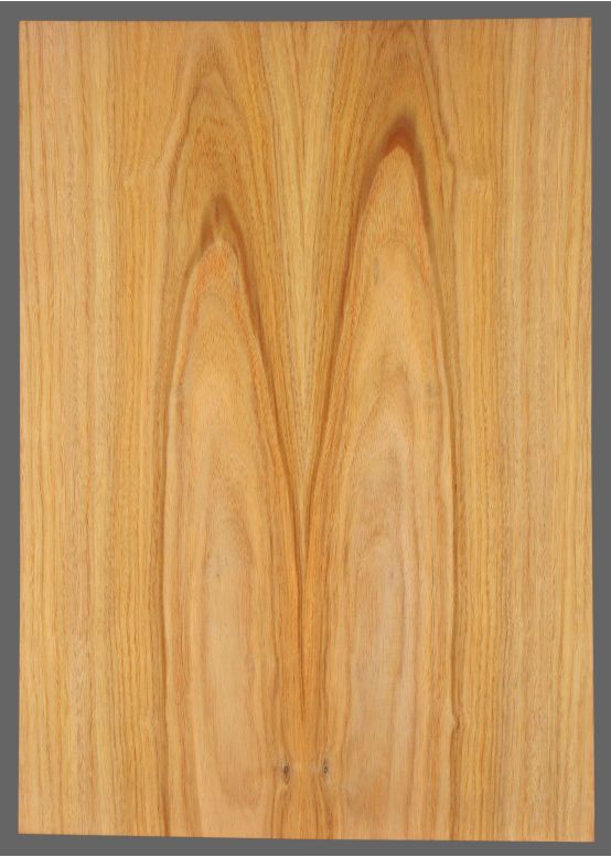 Canary Laminate Top