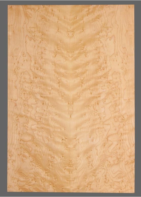 Birdseye Maple Laminate Top