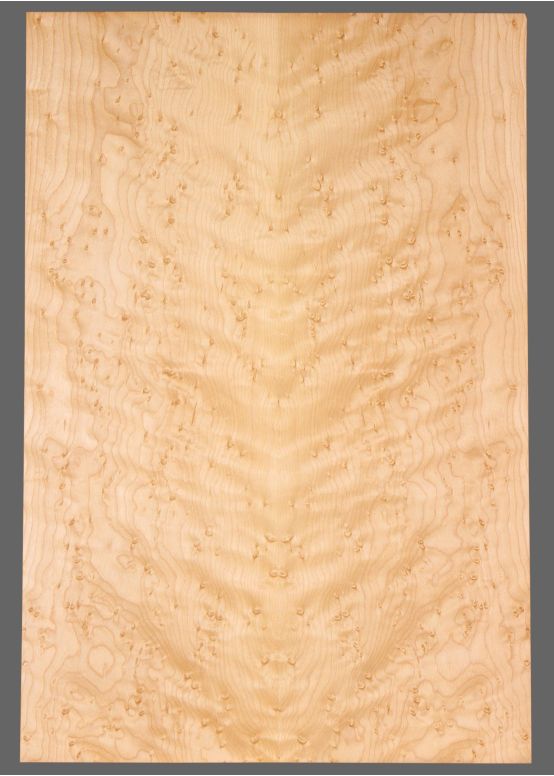 Birdseye Maple Laminate Top