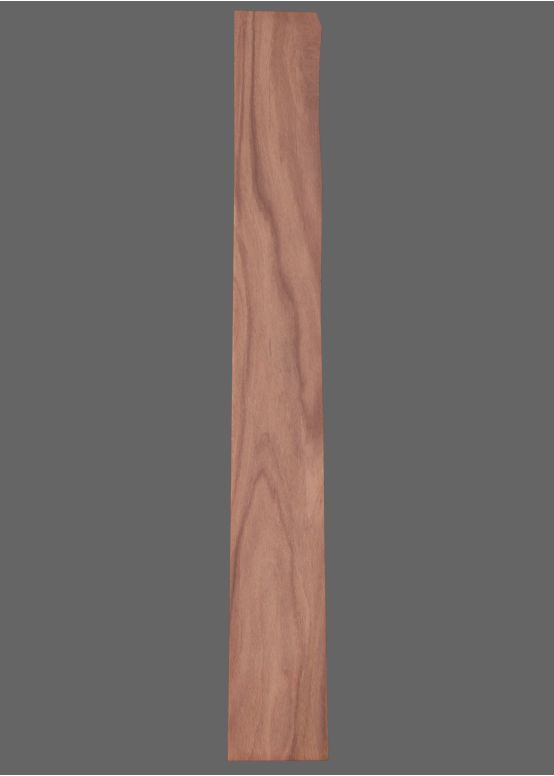 Pau Ferro Fretboard