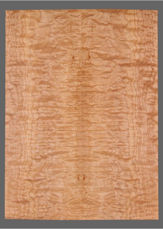 5A Quilt Maple Lam Top