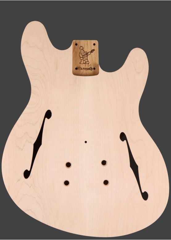 Mooncaster Guitar Body