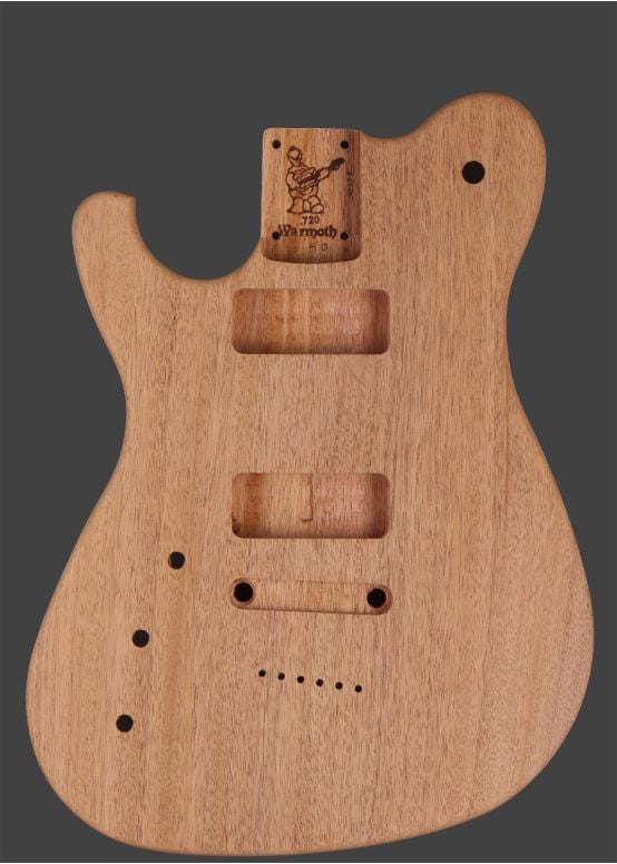 Meadowhawk Guitar Body