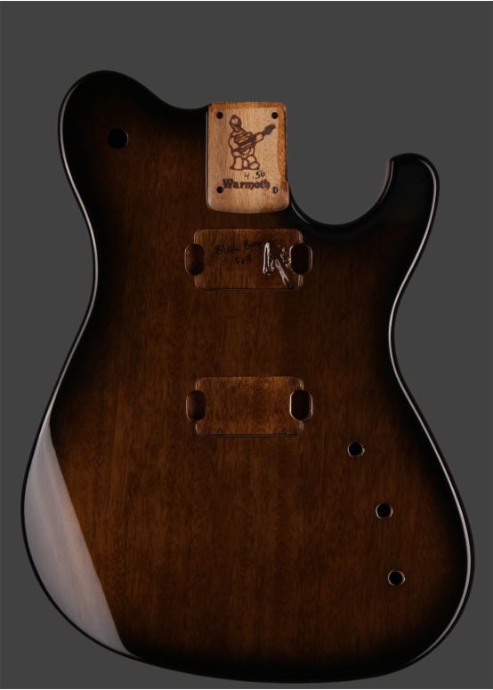 Meadowhawk Guitar Body