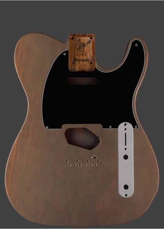 Vintage Tele® Replacement Body