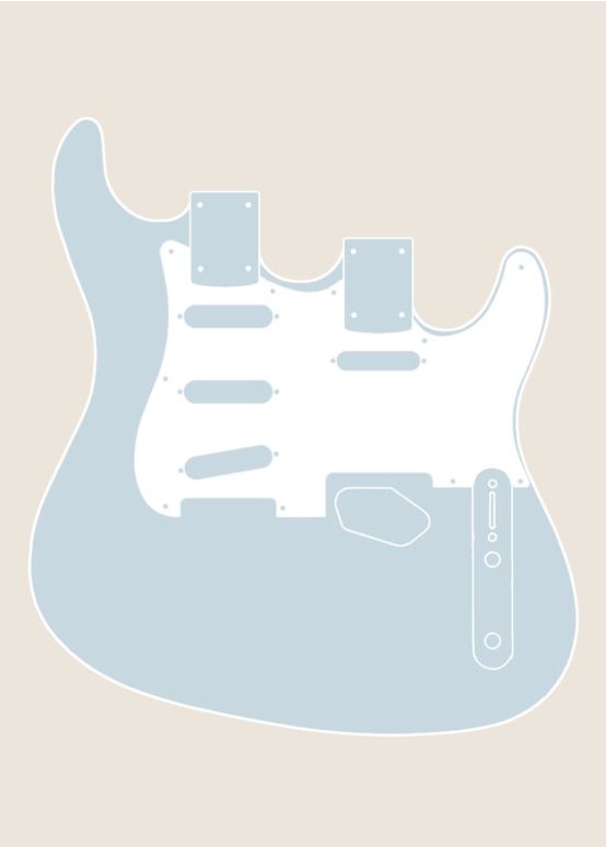 Double Neck S/T-Style Guitar Body