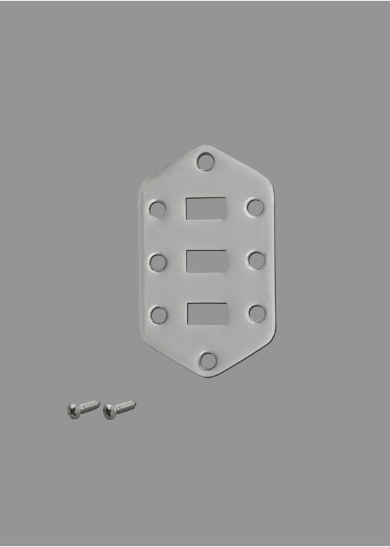 Jaguar Lower Switch Plate