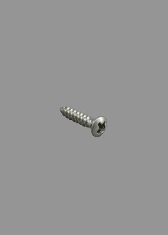 Pickguard Screws