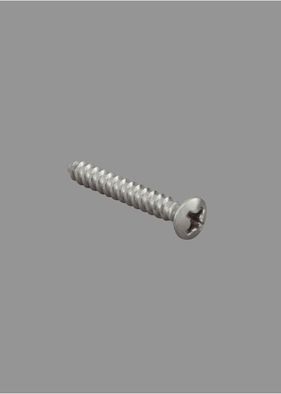 Bridge Mounting Screws