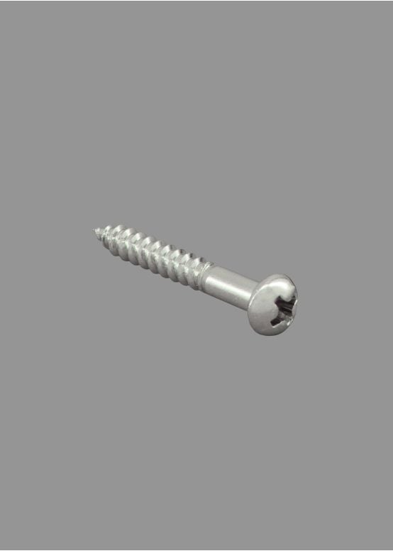 Tremolo Bridge Screws