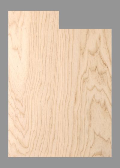 Bass Body Blank, Swamp Ash