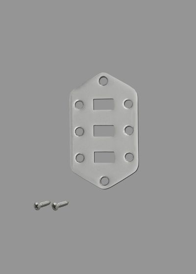 Jaguar Lower Switch Plate