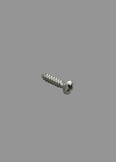 Pickguard Screws