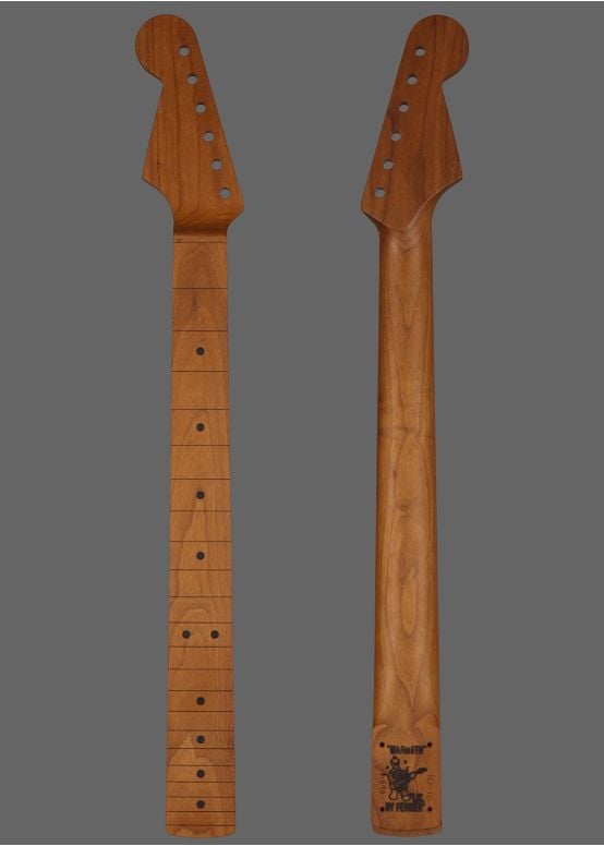 Stratocaster Replacement Guitar Necks