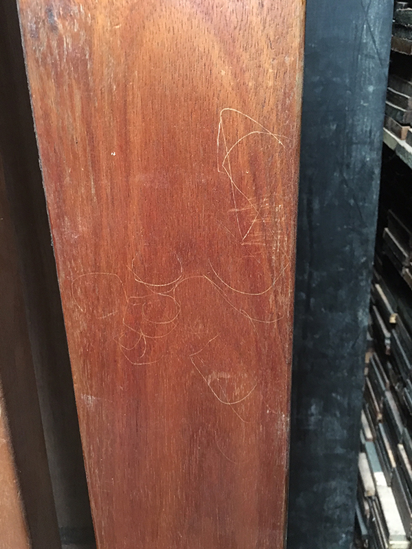 Koa from a bunkbed.