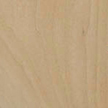 Basswood - Tilia americana