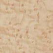 Maple (Birdseye) - Acer saccharum
