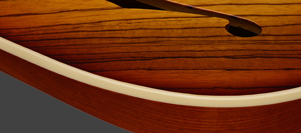 Ivoroid Body Binding