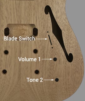 Carved Top Tele, Two F-Holes, Blade Switch