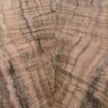Figured Walnut