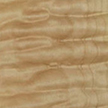 Maple (Quilt) - Acer macrophyllum