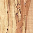 Maple (Spalted) - Acer macrophyllum