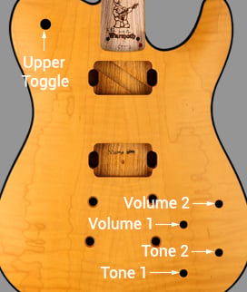 LP Controls for Carved Top Tele